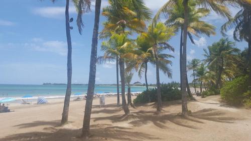 Isla Verde Apartment | Latitude Adjustment