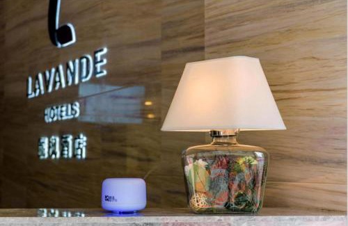 Chengdu Hotel | Lavande Hotels·Chengdu Xinjin
