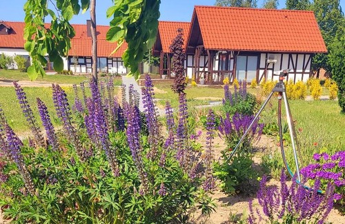 Ustka House | Lawendowy Zakątek Machowino- Domek Beate
