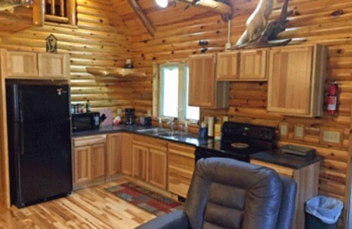 Blaney Park Cabin | Lazy Cedars Log Cabin - Centrally located