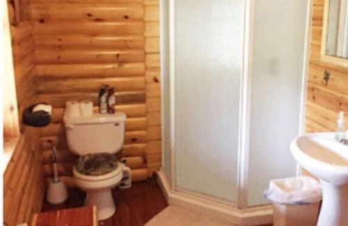 Blaney Park Cabin | Lazy Cedars Log Cabin - Centrally located