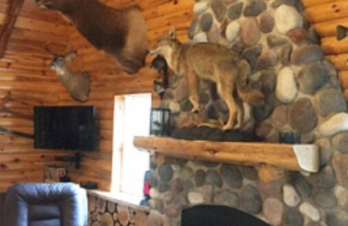Blaney Park Cabin | Lazy Cedars Log Cabin - Centrally located
