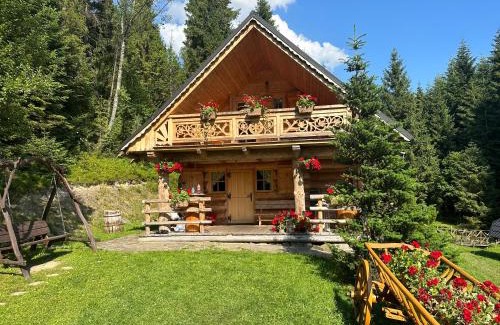 Nowy Targ Ski Chalet | Leśna Bacówka
