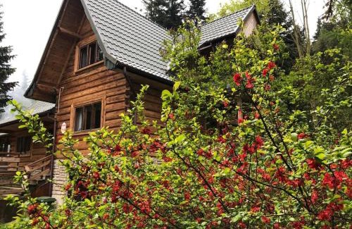 Stary Sacz House | Leśniczówka Przysietnica