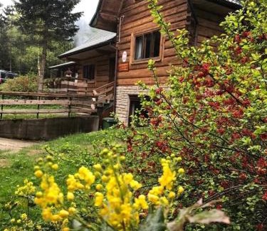Stary Sacz House | Leśniczówka Przysietnica