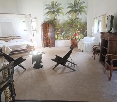 Bazas Bed & Breakfast | Le Basque, le palmier exotique