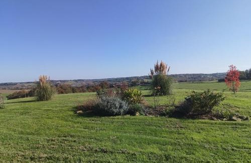 Bazas Bed & Breakfast | Le Basque, le palmier exotique