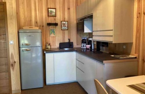 Saint-Julien-en-Born Ski Chalet | Le chalet Hosta