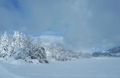 Lamoura Bed & Breakfast | Le Chalet Lamoura Haut-Jura