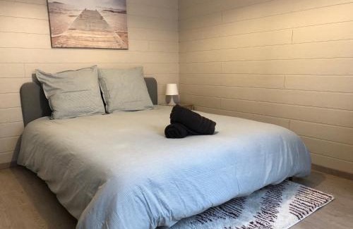 Faubourg North Apartment | Le Cozy near center train station & SciencesPo