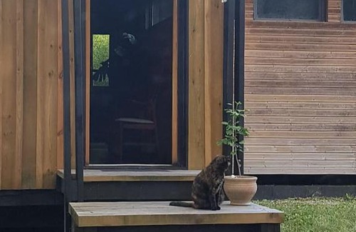 Saint-Vivien-de-Medoc House | Le Lucat, villa Scandinave