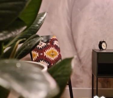 Entraygues-sur-Truyere Apartment | Le Mimizzz