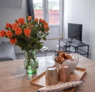 Bellevue - Le Mont - La Jomayere Apartment | Le Nid vue et détente à Etienne
