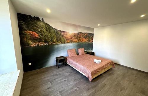 Epinal Apartment | Le Paris-Vosges