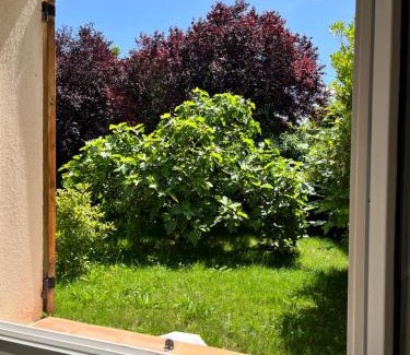 Roumoules House | Le Romulus