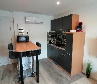 Tonneins Apartment | Le Vélo Vintage, Beau 2 pièces centre ville