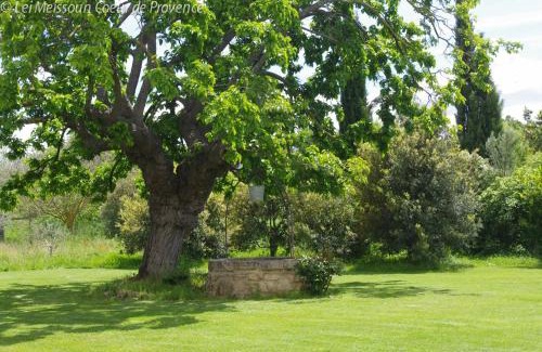 Pont Royal House | Lei Meissoun