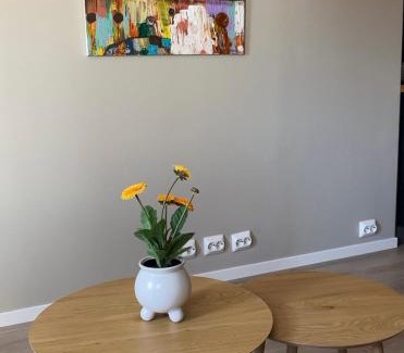 Hauge Apartment | Leilighet i sentrum