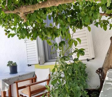 Sitia Apartment | Lemon Garden 2