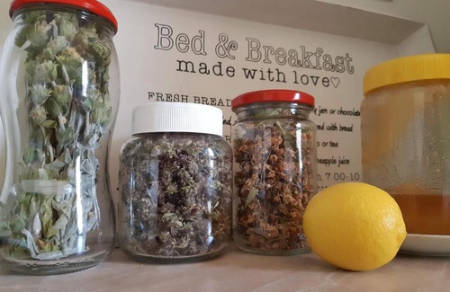 Skopje Region Hostel | Lemon Garden