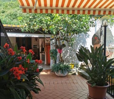 Feglino House | "Lemon Tree House" with garage for MTB