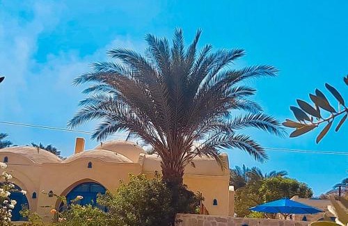 Tunis Village Villa | Lemon tree villa