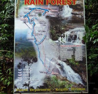 Kithulgala Resort | Leon Hilltop Resort