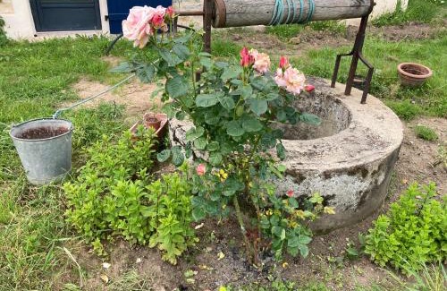 Charrin Bed & Breakfast | Les 9 Hirondelles