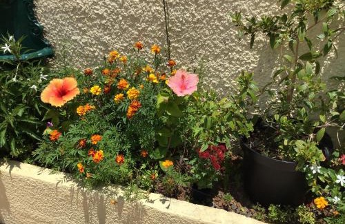 Montvert-les Bas Apartment | Les Capucines