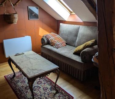 Etival-Clairefontaine Apartment | Les Chanterelles La souris des champs