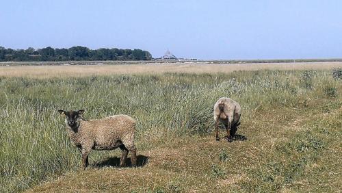 Le Val-Saint-Pere Bed & Breakfast | Les Escales de Marion