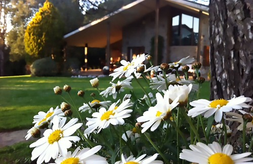Seva Villa | LES MARGARIDES, A paradise in the Montseny Natural Park