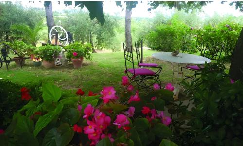 Visan House | Les Oliviers de Claron