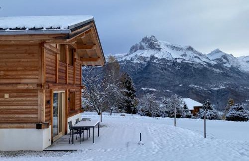 Combloux Ski Chalet | Les Ours de Combloux