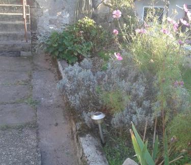 Eschbourg House | Les Rosiers