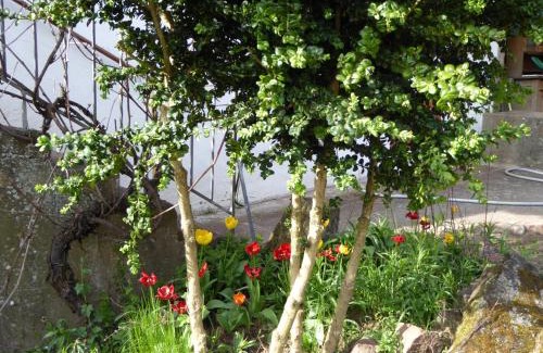 Eschbourg House | Les Rosiers