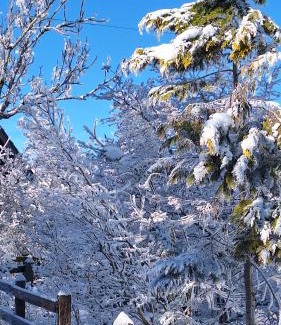 Saint-Leger-les-Melezes Apartment | Les Serintes