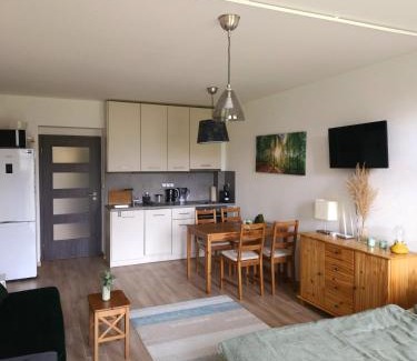 Hamry Apartment | Lesní apartmán Hamry