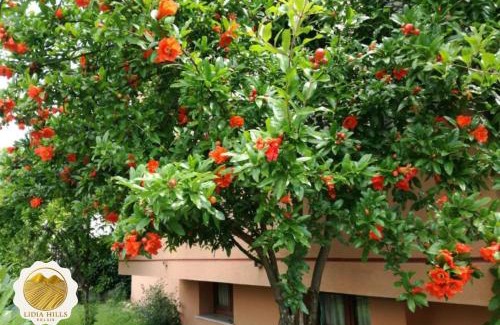 Segusino House | Lidia Hills Relais - Valdobbiadene-Segusino
