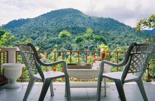 Naranjito House | Light of Dawn