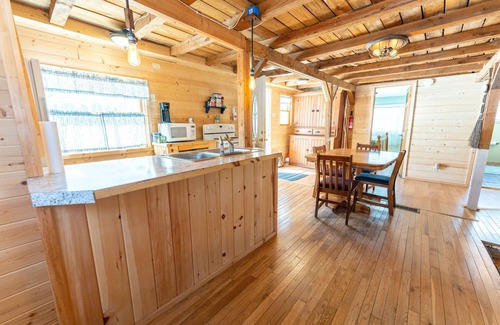 Curtis Cottage | Lillie's Lil Cabin: Fall Vibes Only – Cozy Cabin Stay Awaits!