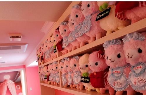 Tochigi House | Limited to 10 groups a day Special price witho / Tochigi Tochigi
