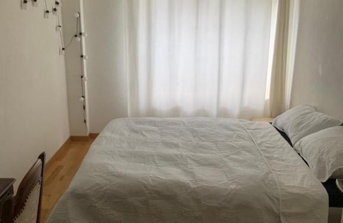 Unterstrass House | Lion BB Swiss