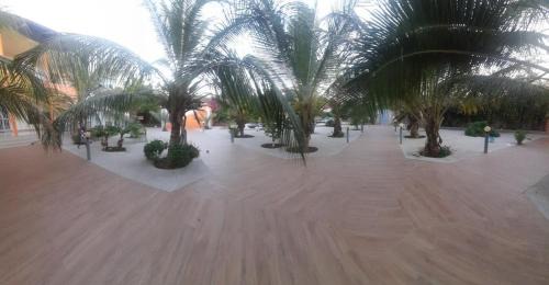 Ndangane Villa | Lion du îles du Saloum
