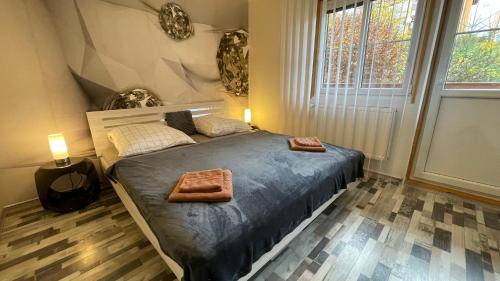 Lipno nad Vltavou Apartment | Lipno Pearl 2