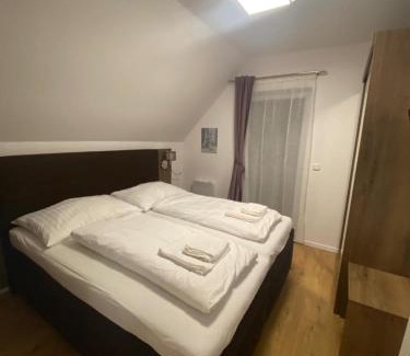 Lojzova Paseka House | Lipno Village House