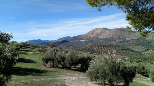 Priego de Cordoba House | Lirio Azul Casa Rural