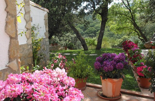 Colmenar House | Little corner of paradise with large wooded garden for nature lovers