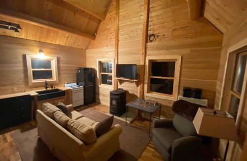 Reed City Cabin | Little Log Cabin in the Big Woods