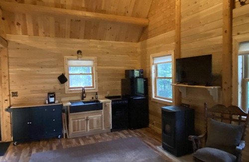 Reed City Cabin | Little Log Cabin in the Big Woods
